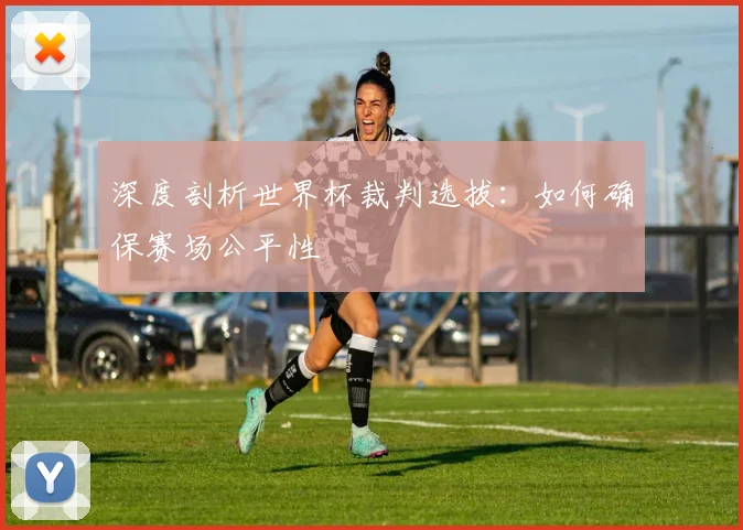 深度剖析世界杯裁判选拔：如何确保赛场公平性