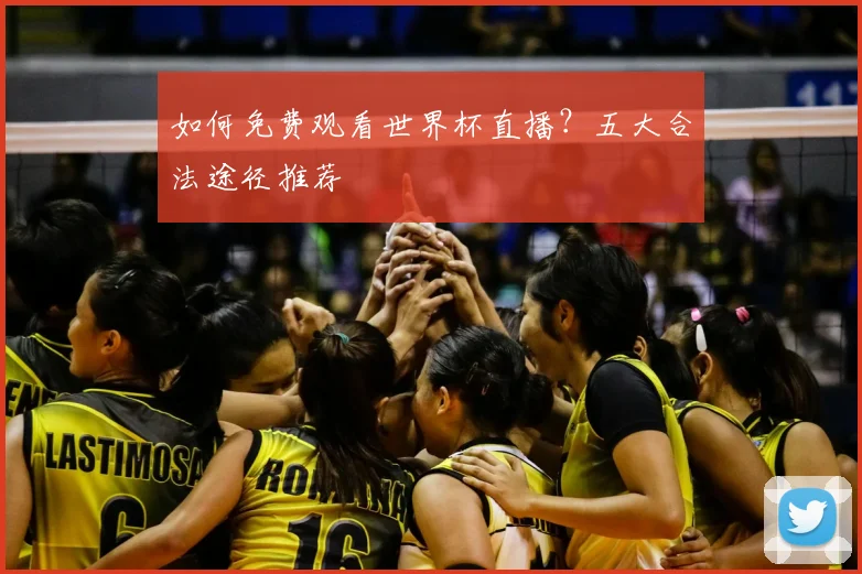 如何免费观看世界杯直播?五大合法途径推荐