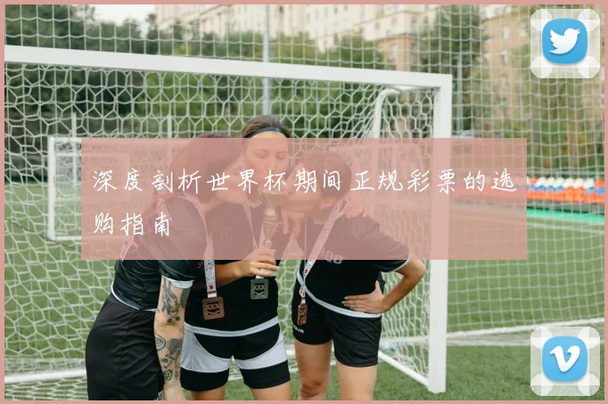 深度剖析世界杯期间正规彩票的选购指南