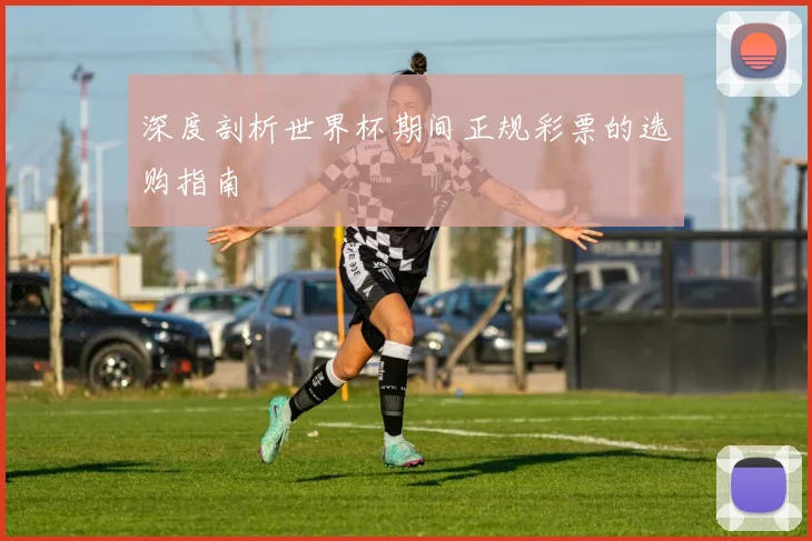 深度剖析世界杯期间正规彩票的选购指南