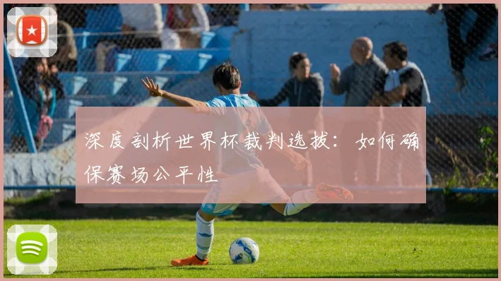 深度剖析世界杯裁判选拔：如何确保赛场公平性