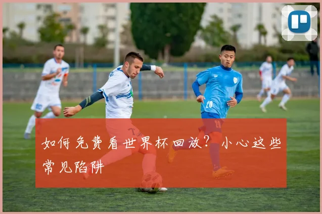 如何免费看世界杯回放？小心这些常见陷阱