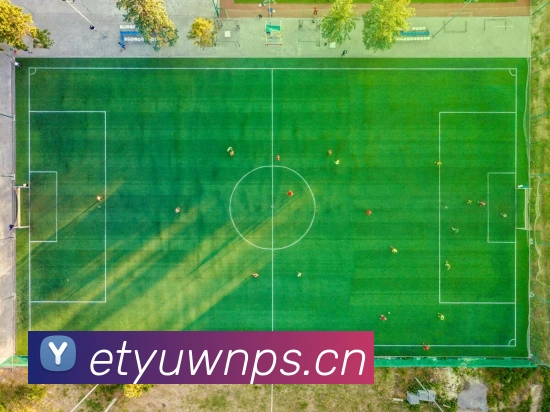 星空体育在线官网入口平台生态图